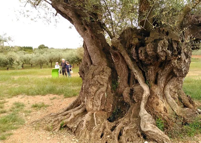 Rustic Oh, Casa Grupos Εξοχικό σπίτι *